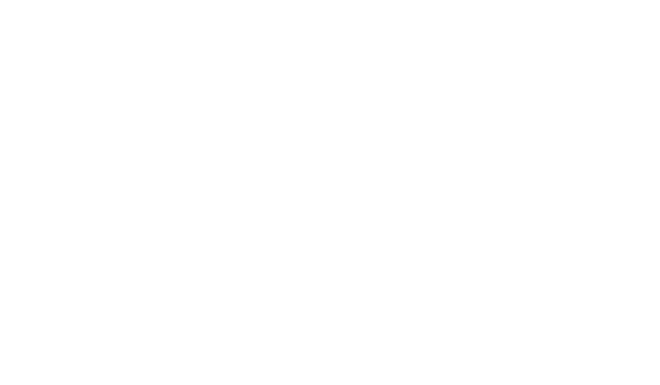 Intellegens