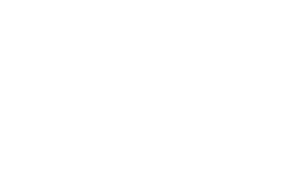 Airline Pilot Club