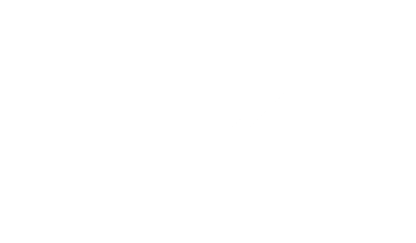 LexX Technologies