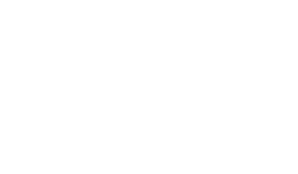 Pegasus
