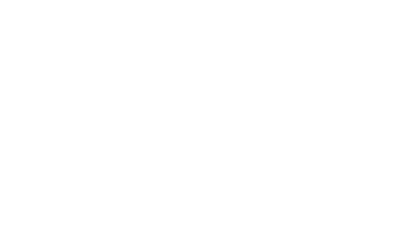 Seidr