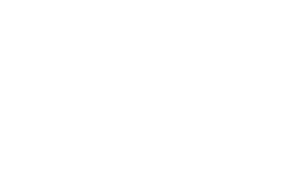 ToffeeX